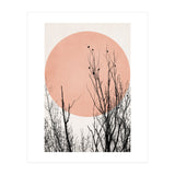 Sunset Dreams Rose (Print Only) thumbnail