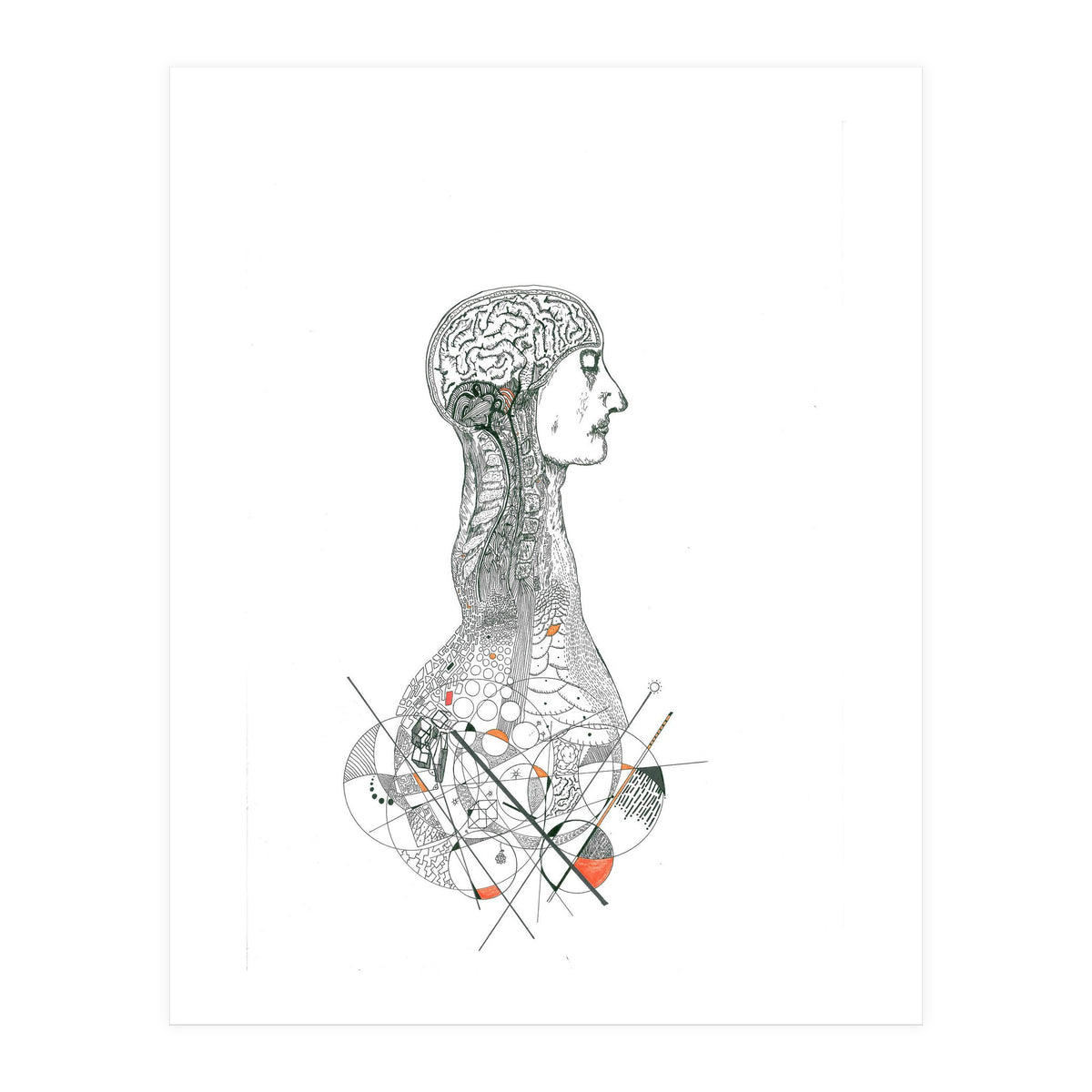 Anatomy (Print Only)