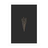 Delicate Fynbos Botanicals in Gold and Black (Print Only) thumbnail