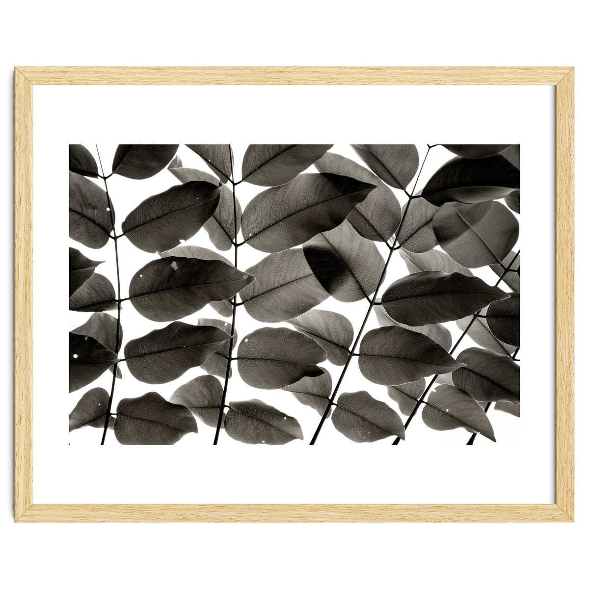 Branches and Leaves I