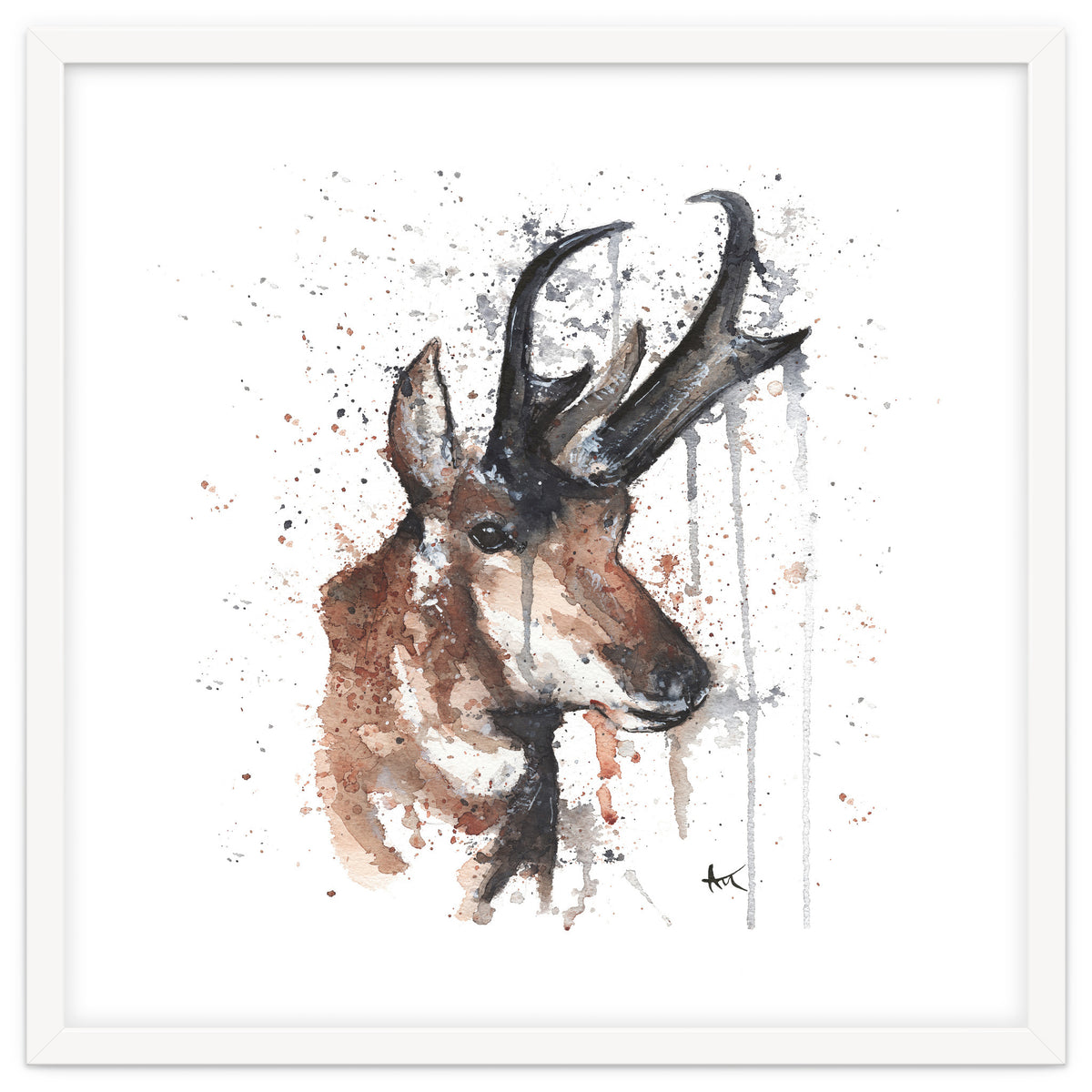 Red deer - Wildlife Collection