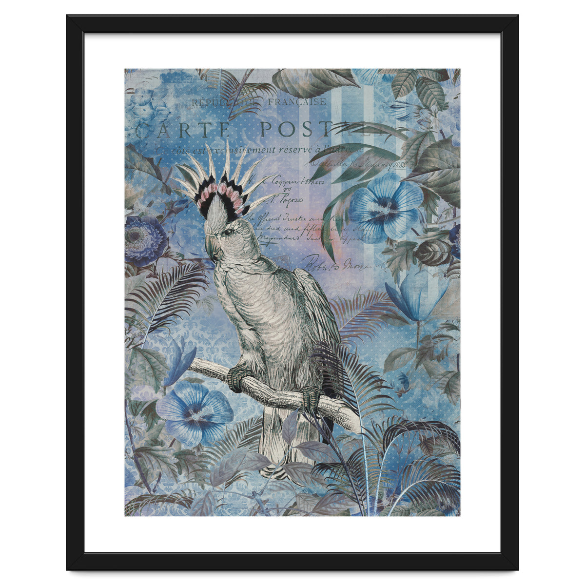 Jungle Cockatoo Blue