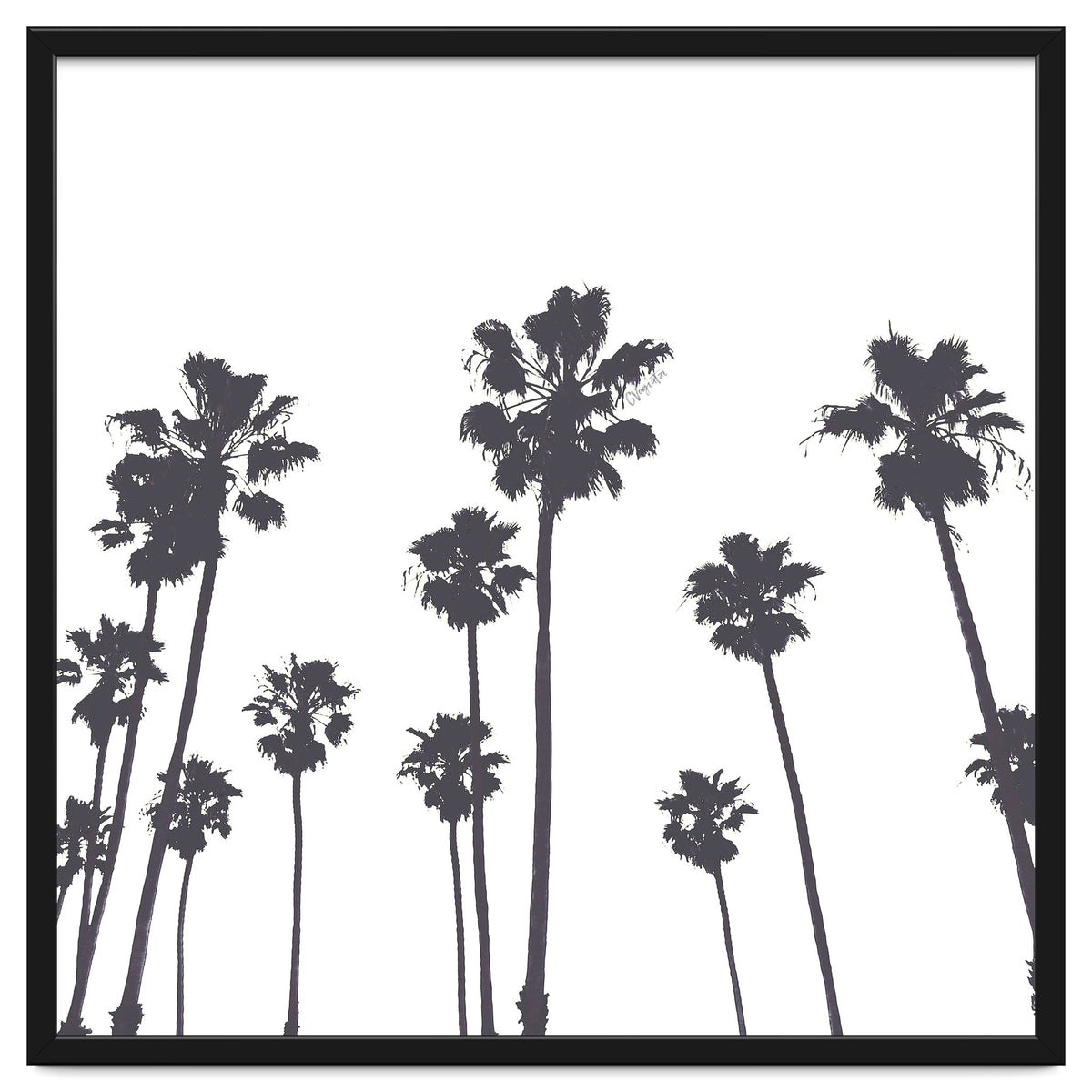 Palms & Sunset-Minimal B&W