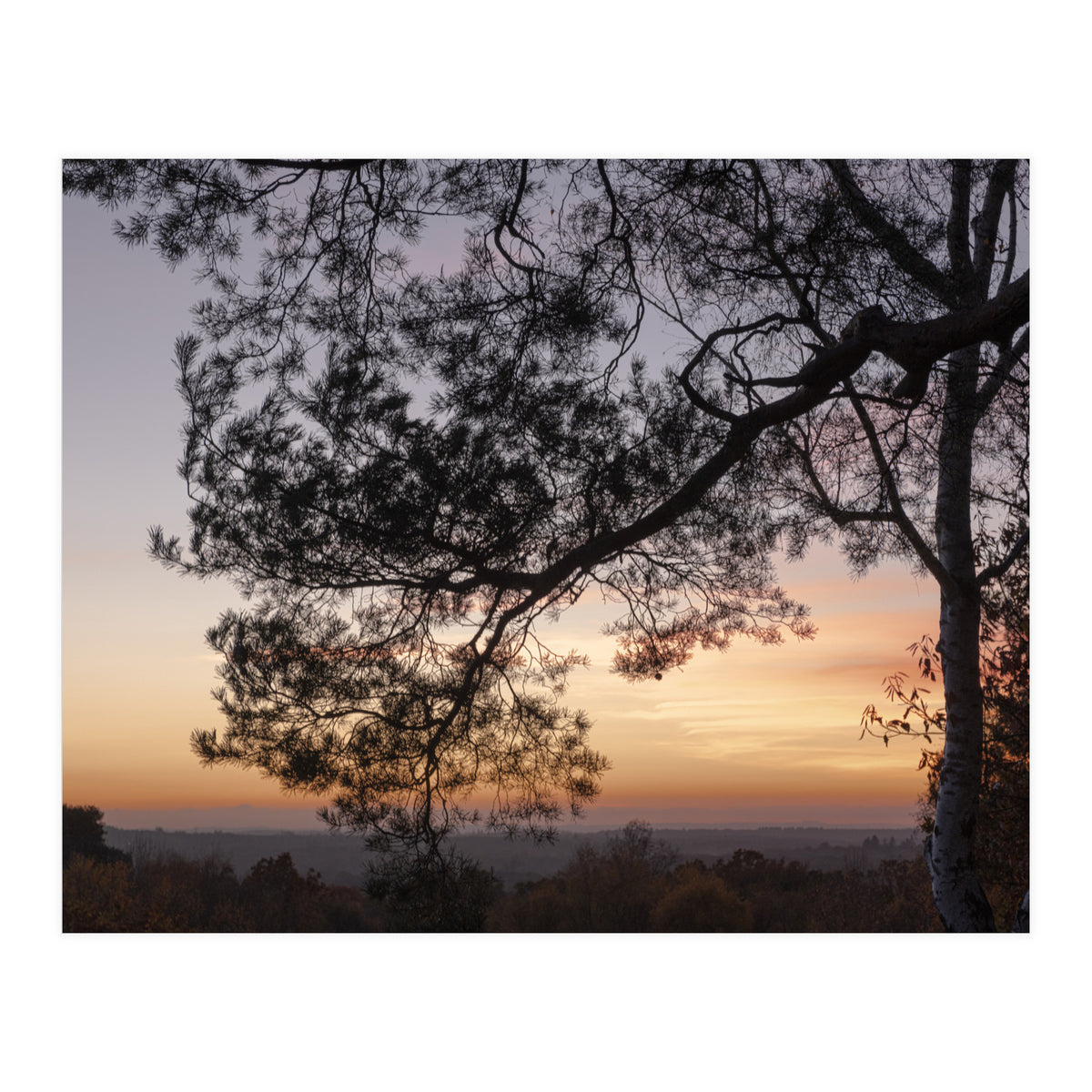 Sunset on Finchampstead Ridges - Berkshire (Print Only)