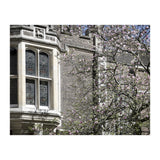 Inner Temple Gardens (Print Only) thumbnail