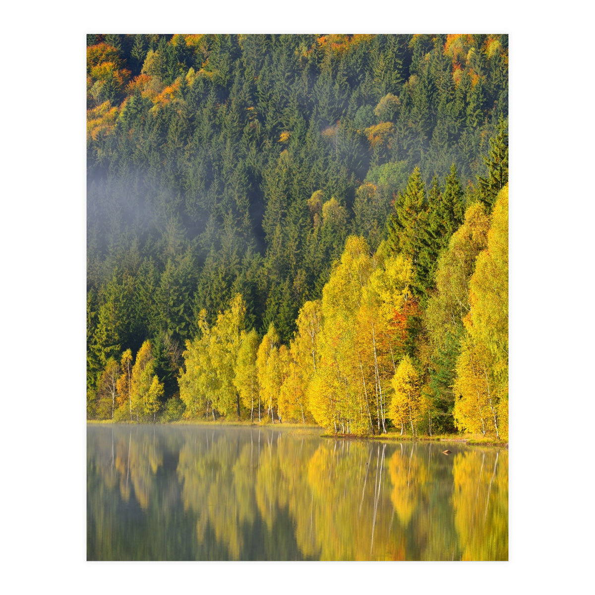 LAKE IN FOREST (Print Only)