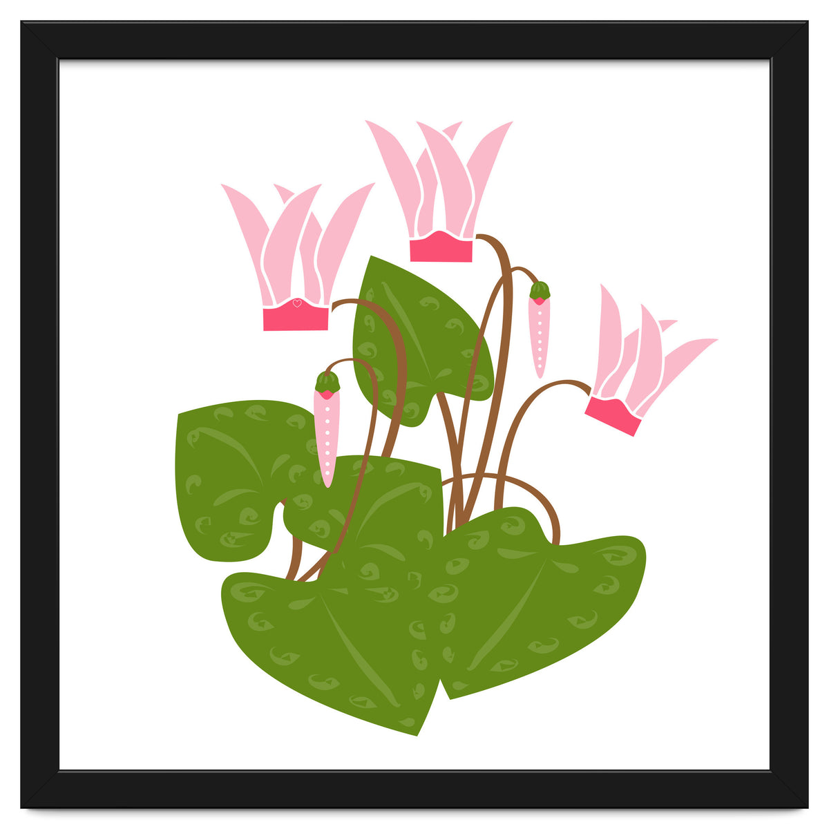 Cascading Cyclamen