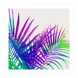 Colorful Palm (Print Only) thumbnail