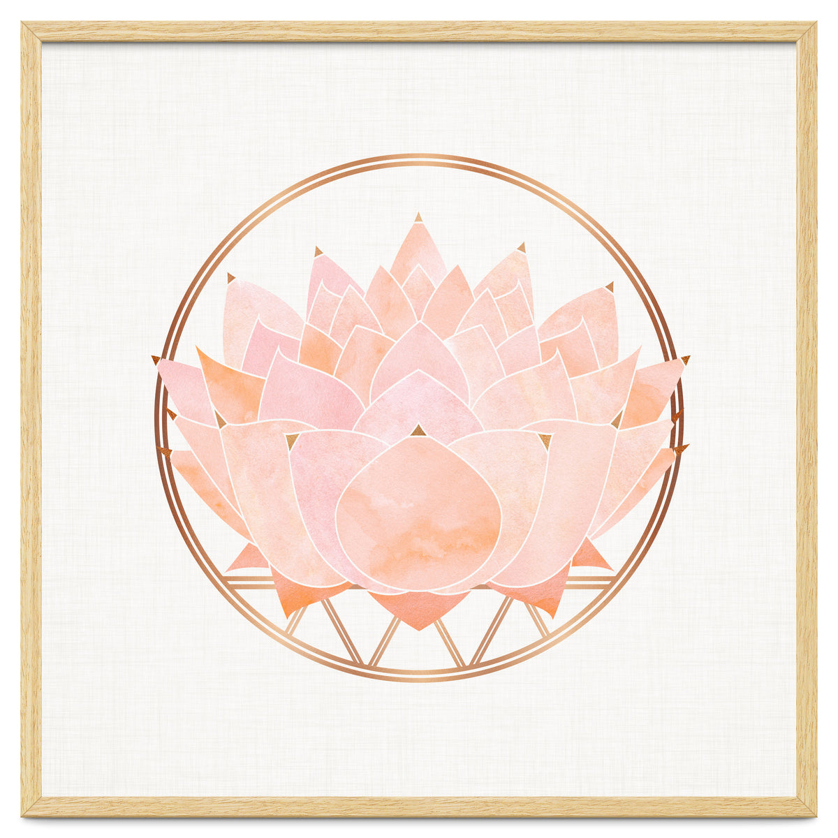 Peach Succulent  Blossom