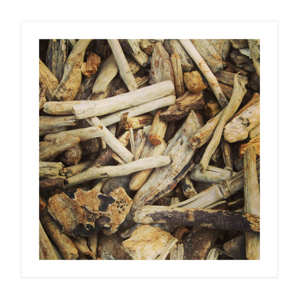 Driftwood (Print Only)