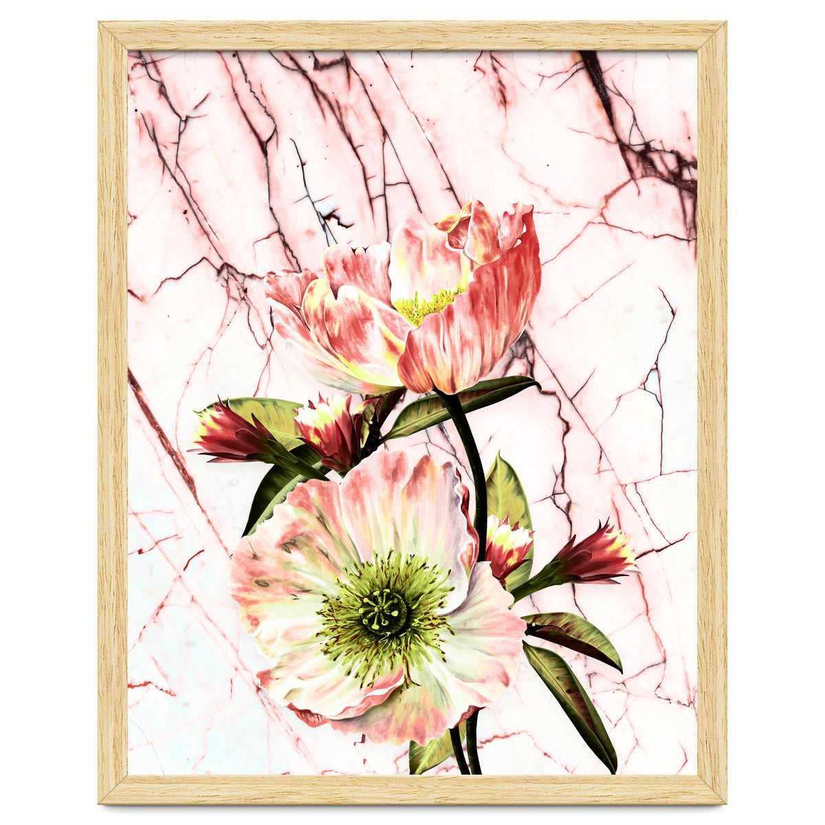 Flowering on pink marble