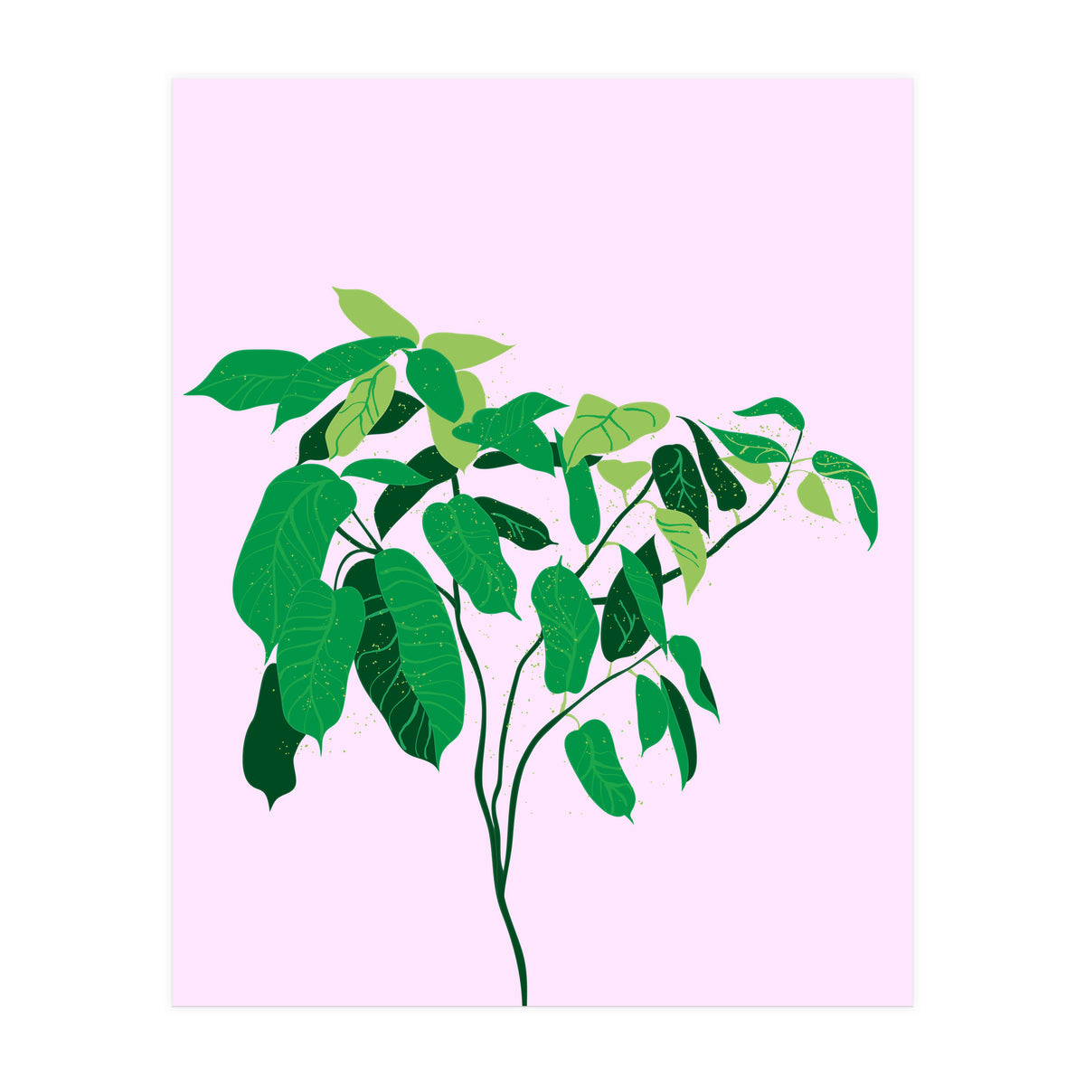 Ficus on Pink Background (Print Only)
