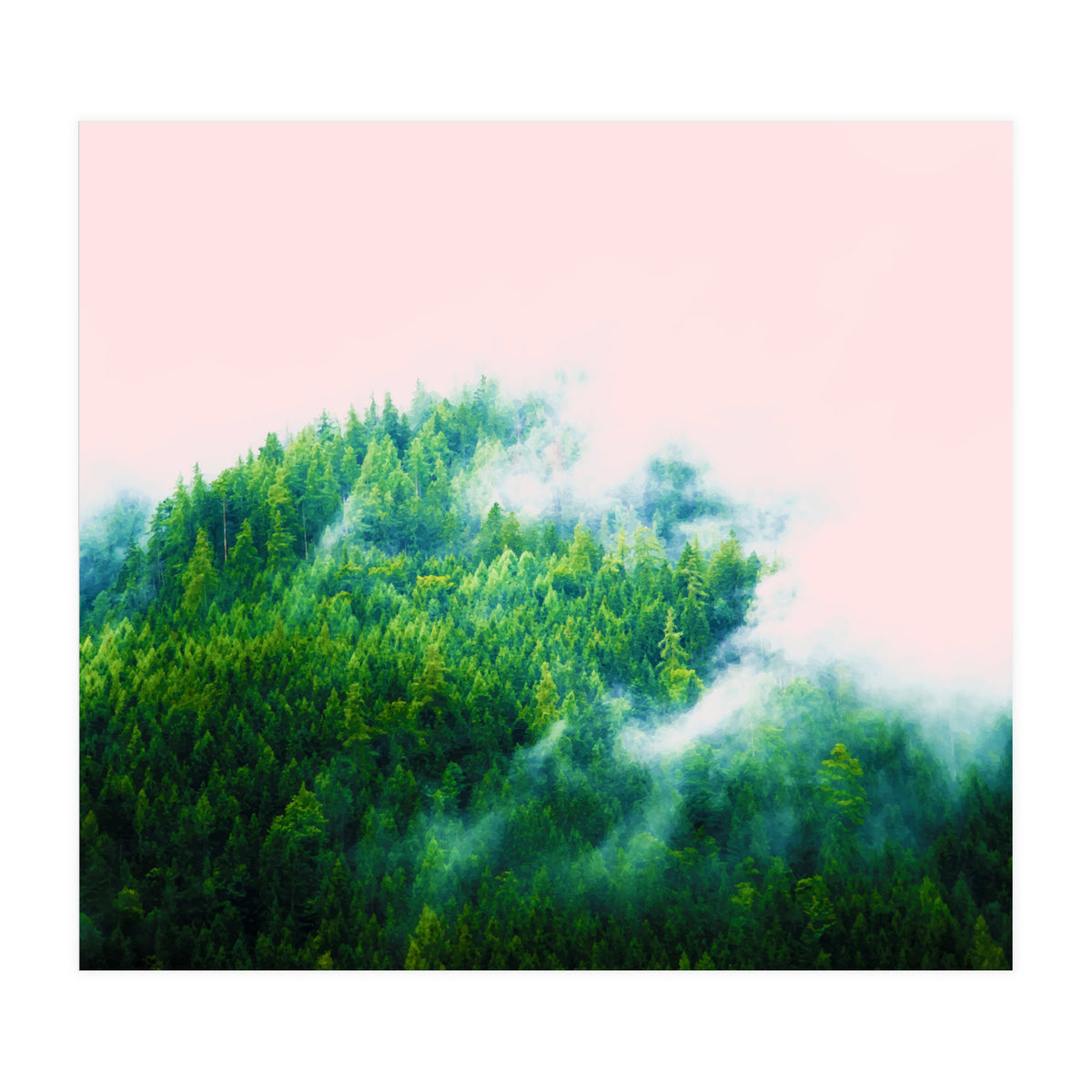 Into The Fog (Print Only)