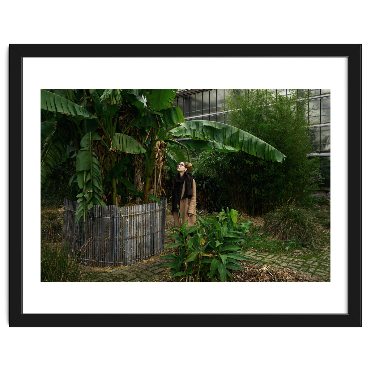 Transition from Summer to Winter