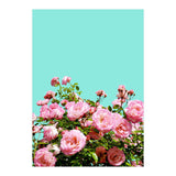 Blissful (Print Only) thumbnail