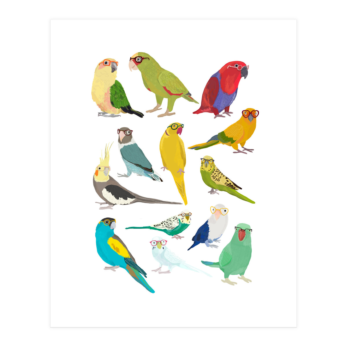 Parrotts in Glasses (Print Only)