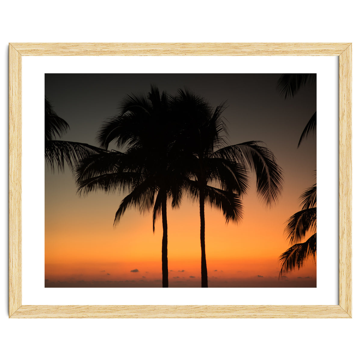 Mexico, November nights