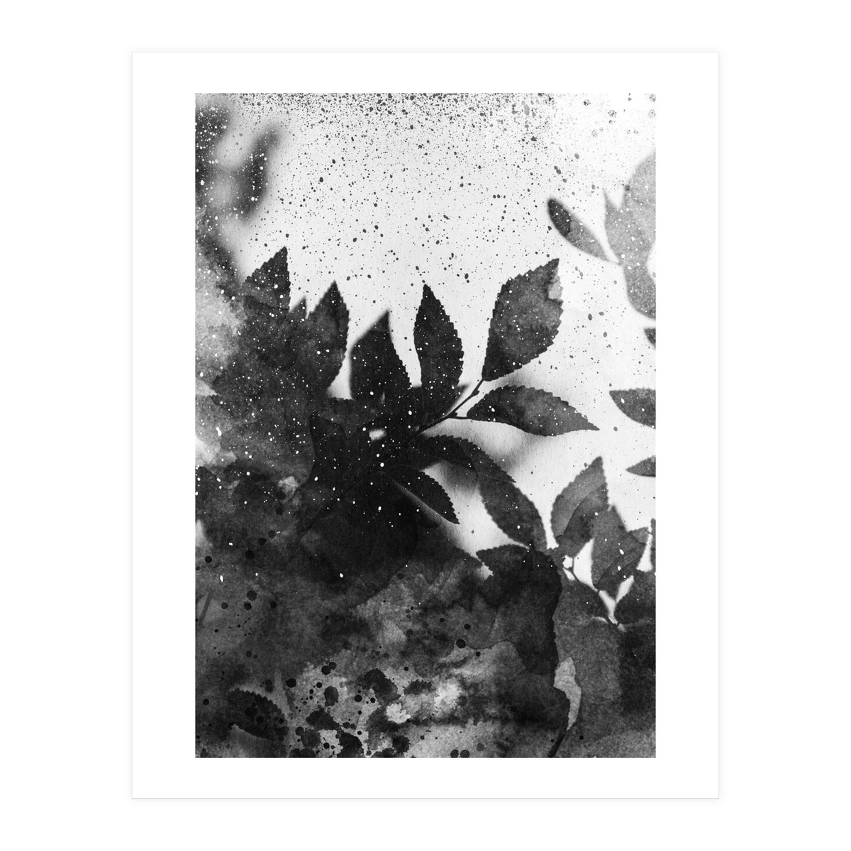 Leaves #1 (Print Only)