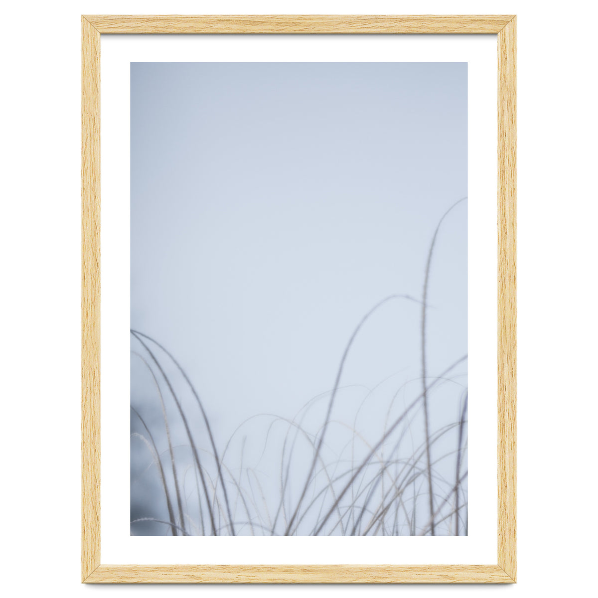 Forgotten Memories of Summer #20