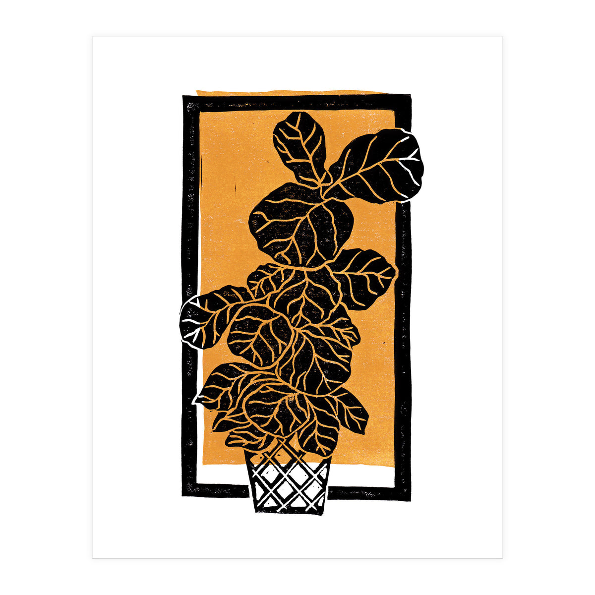 Fiddle Leaf Fig Clean + Sunlight (Print Only)