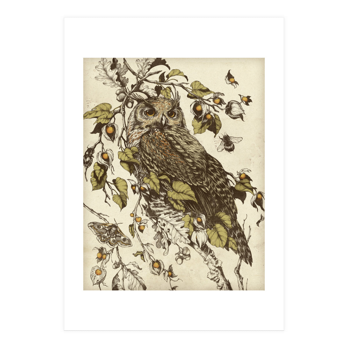 Great Horned Owl (Print Only)