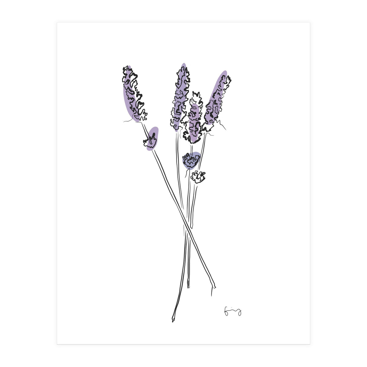 Lavender (Print Only)