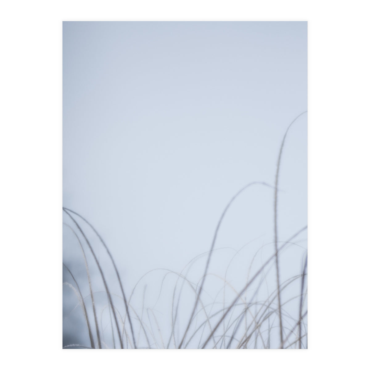 Forgotten Memories of Summer #20 (Print Only)