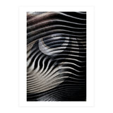Dark Eyes  (Print Only) thumbnail