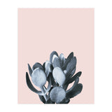 Cactus collection BL-II (Print Only) thumbnail