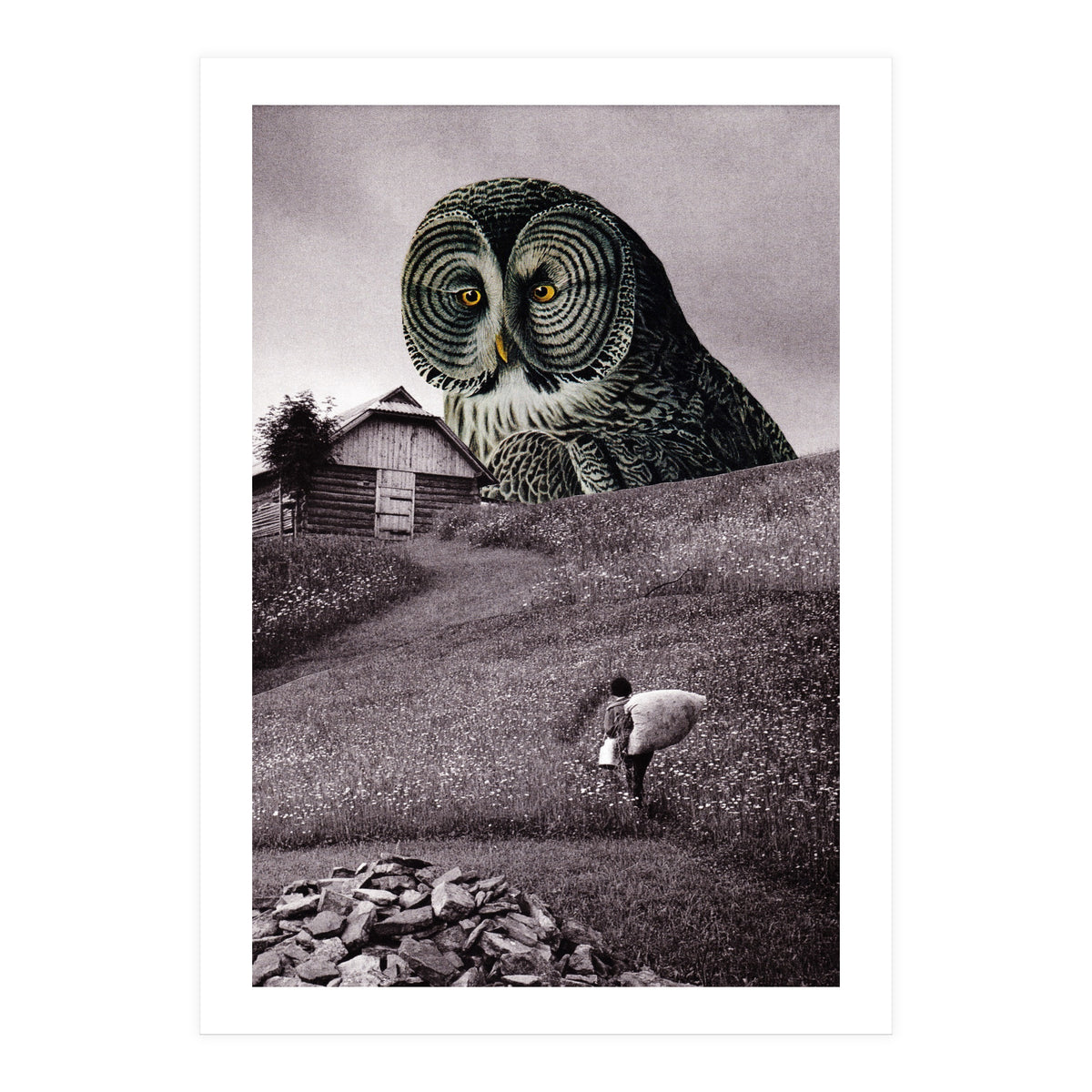 Nocturnal (Print Only)