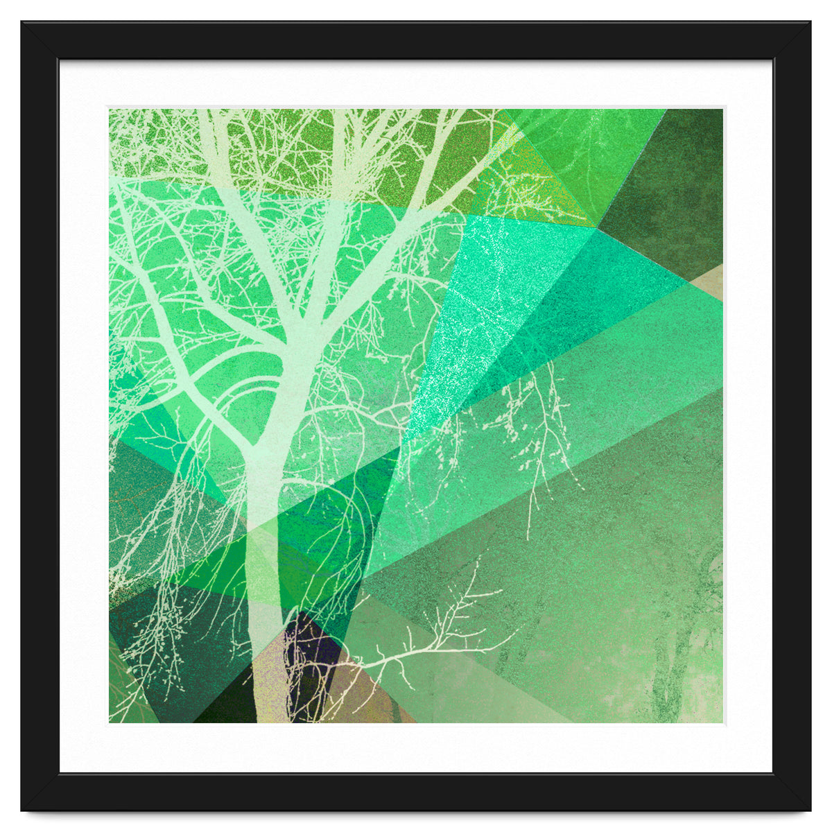 P22-B3 Trees And Triangles