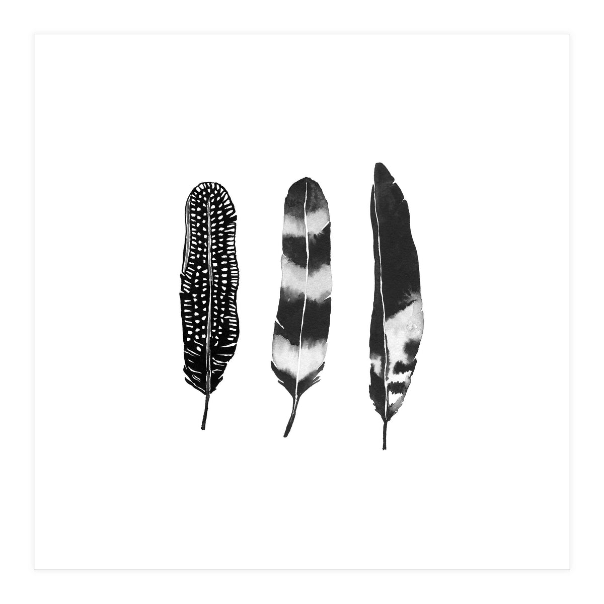 Dark Feather (Print Only)