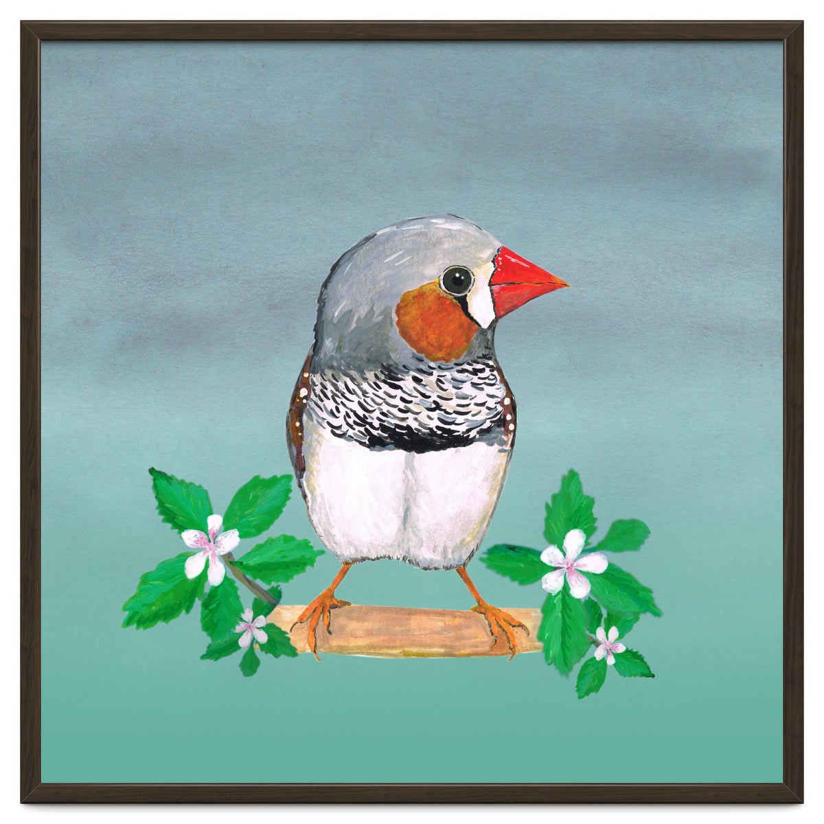 Zebra finch