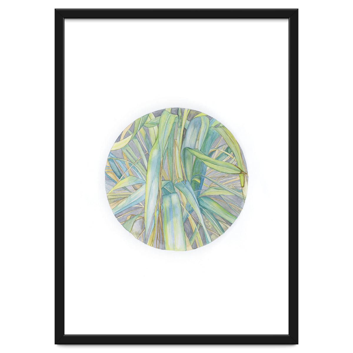 Grasses In The Late Summer Light