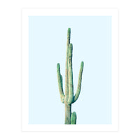 Loner Cactus (Print Only)