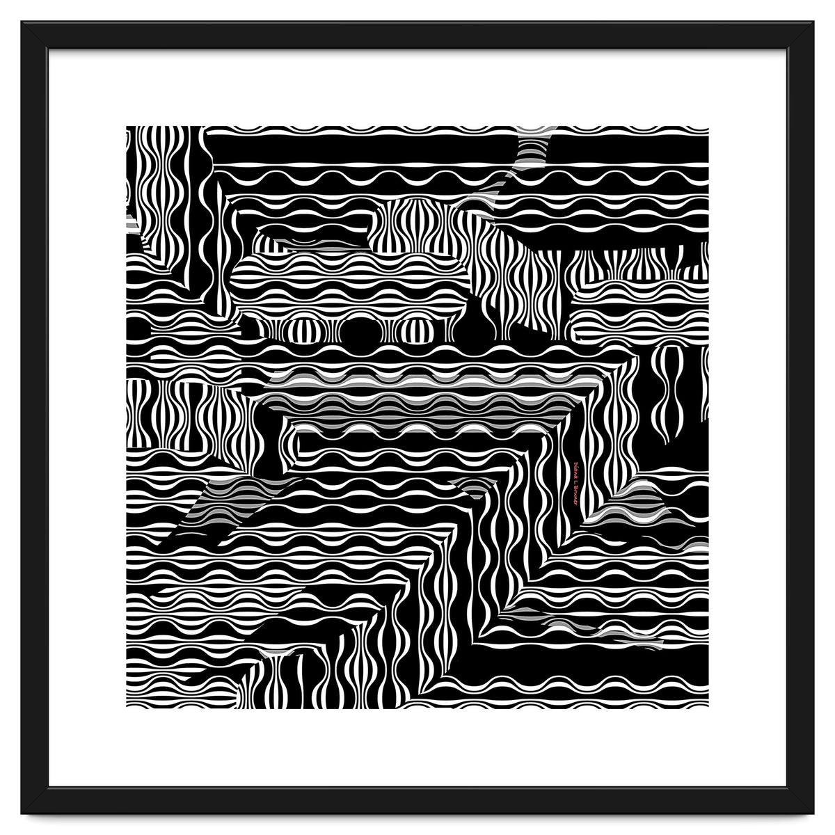 BLACK AND WHITE EXOTIC