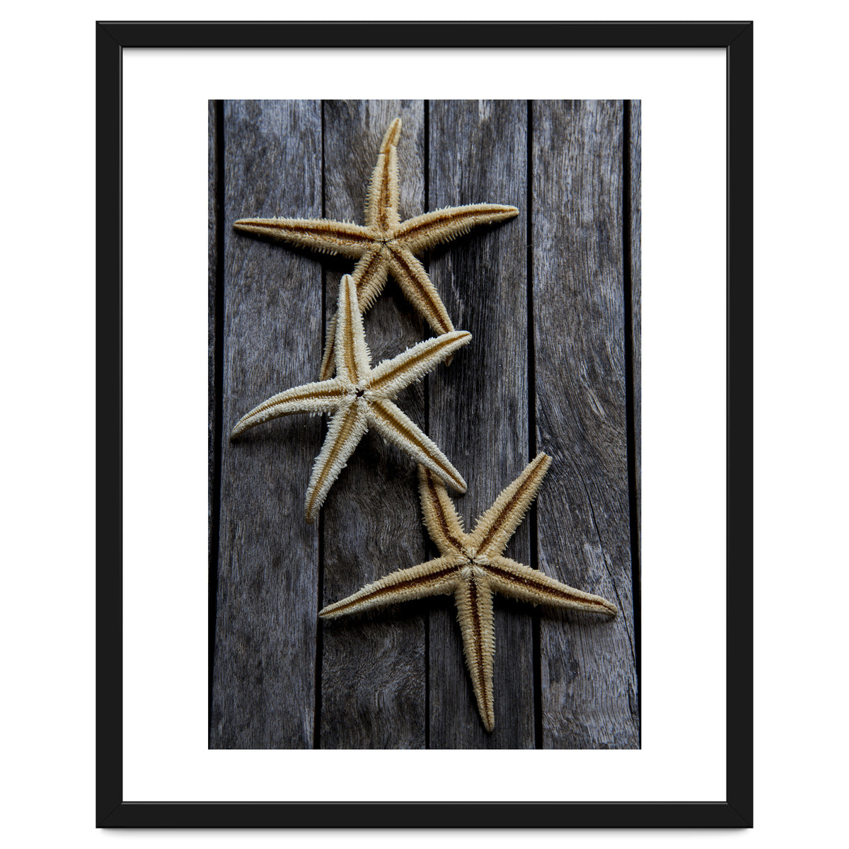 Starfishes in wooden
