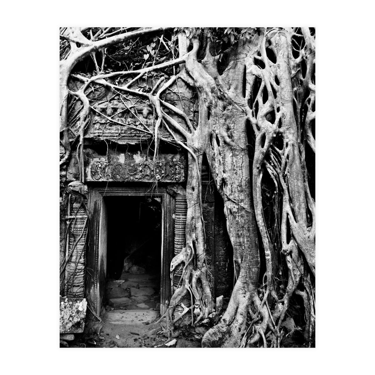 Ta Prohm Temple, Cambodia (Print Only)