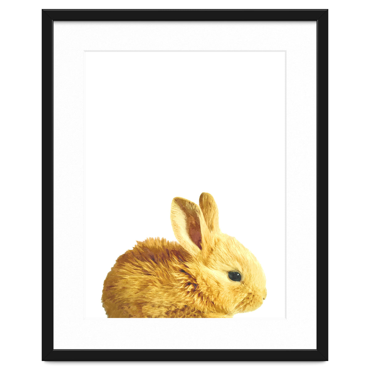 Bunny Portrait