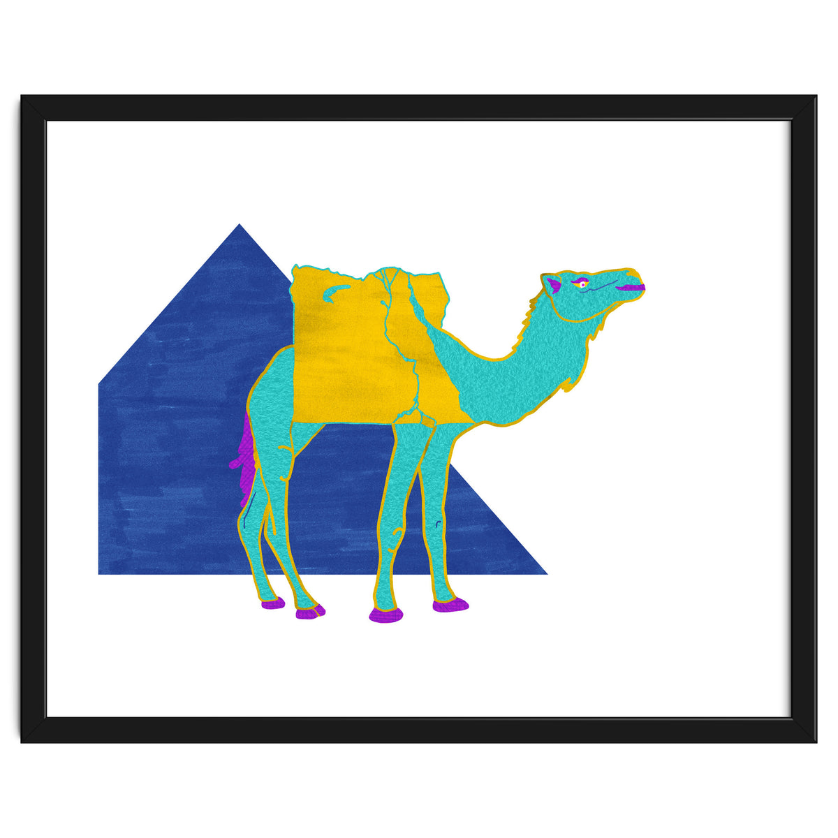 Egyptian Dromedary