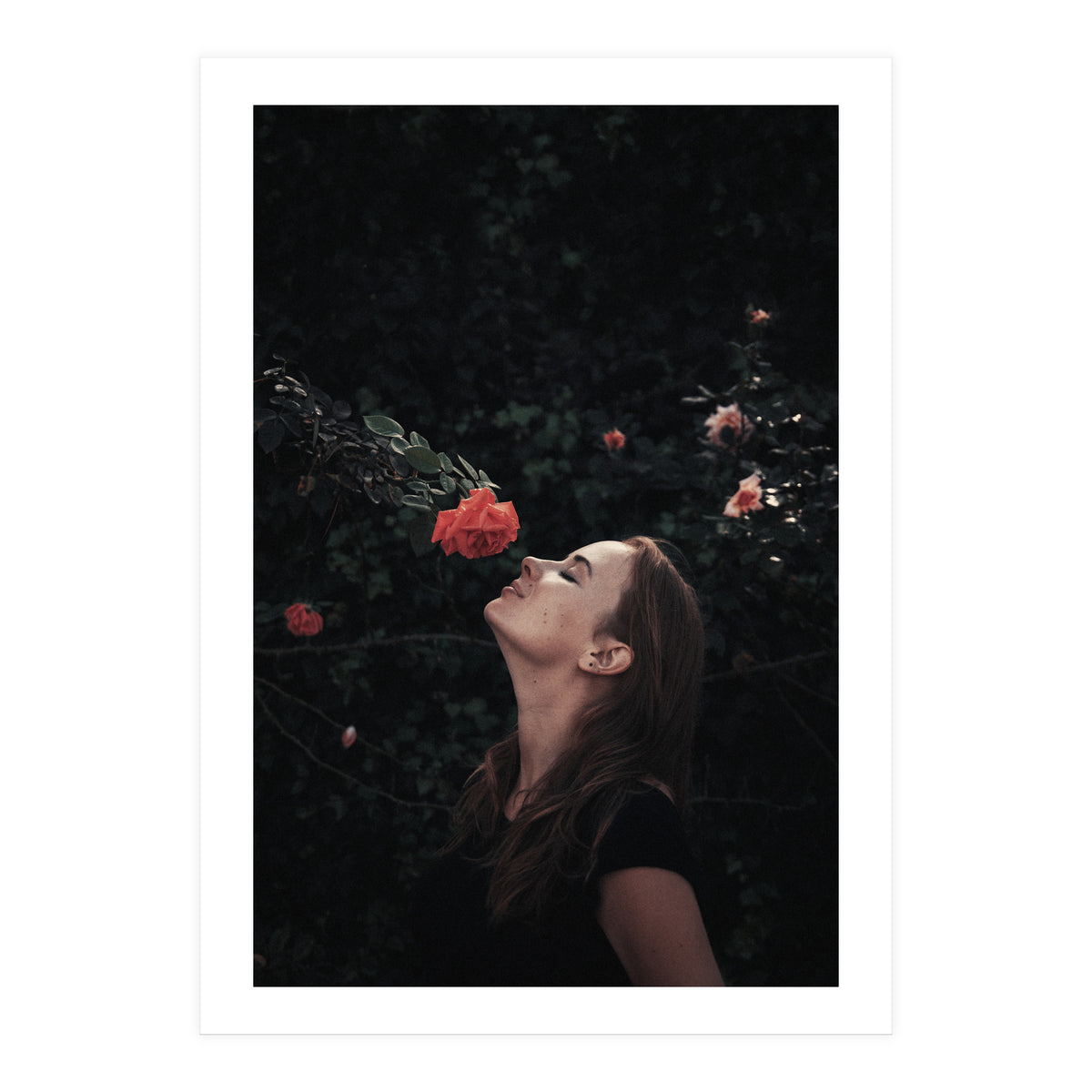 Kss Kss Meow Meow (Print Only)