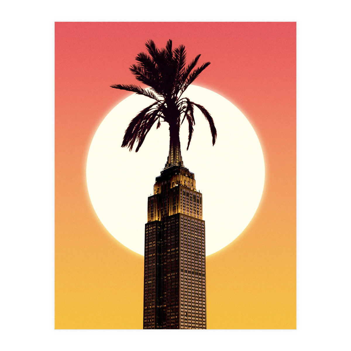 Palm City (Print Only)