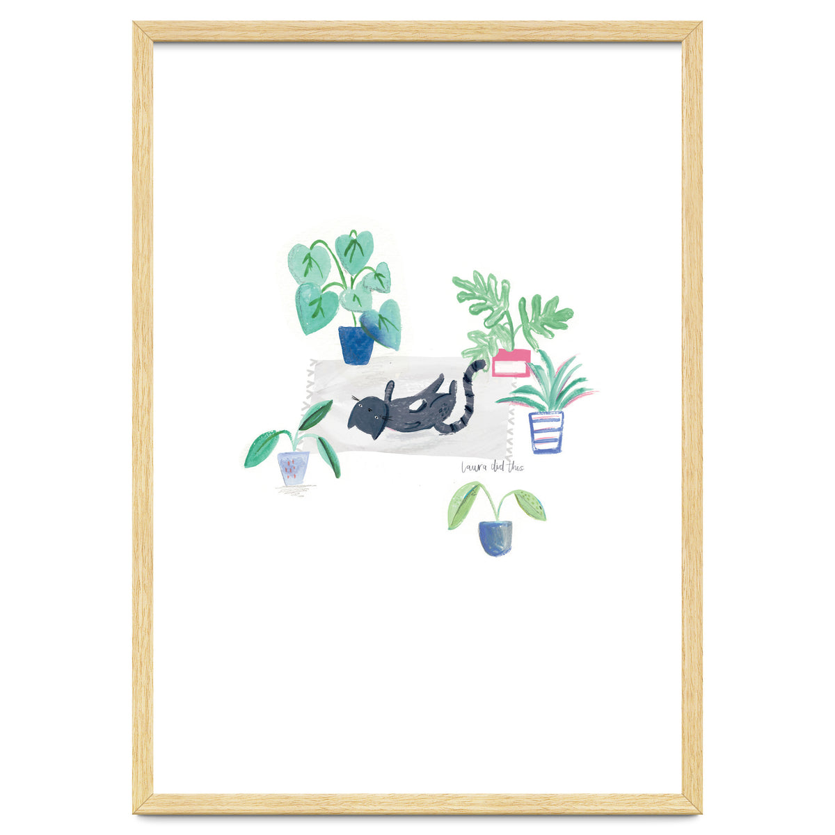 Black Cat And House Plants