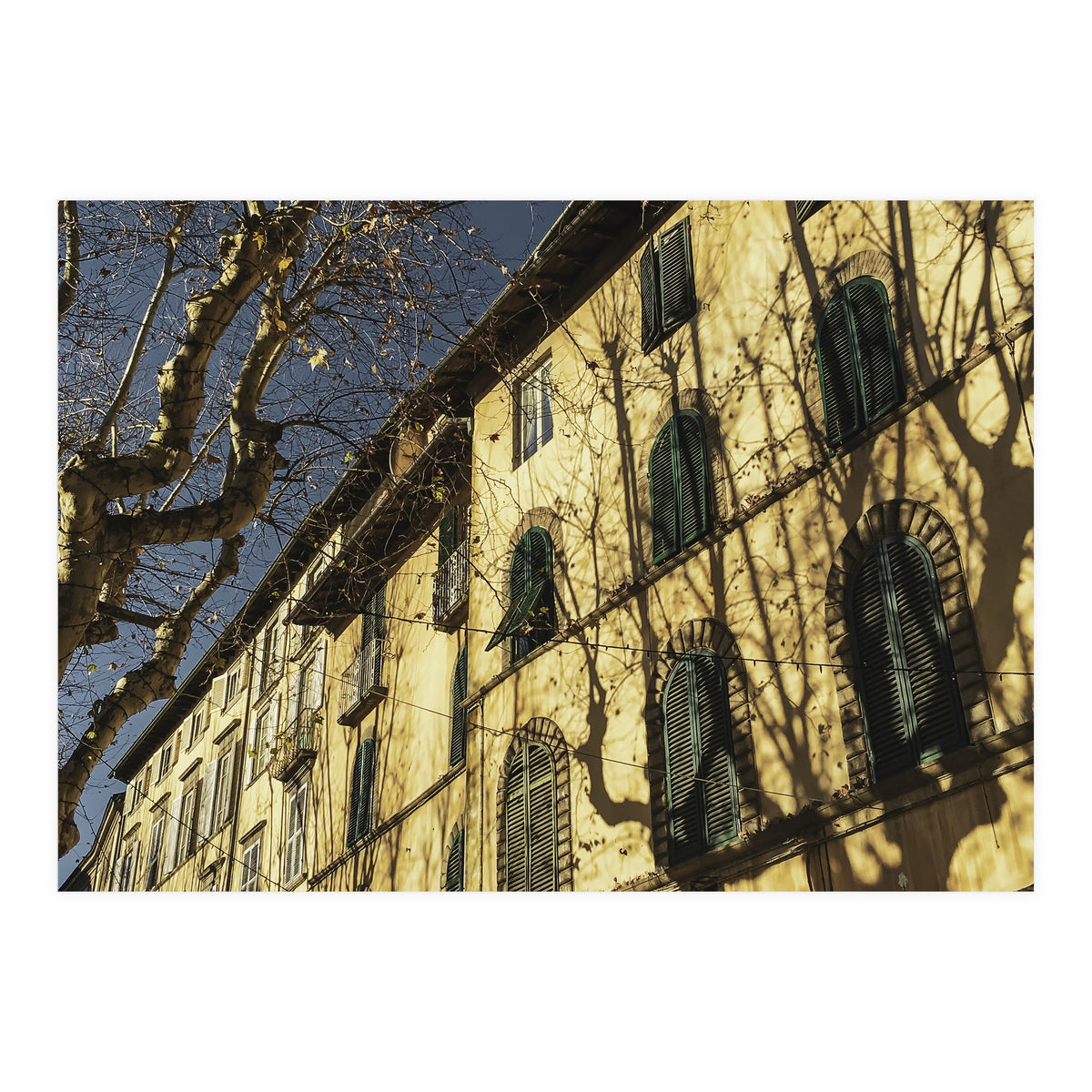 Windows From Tuscany 3 (Print Only)