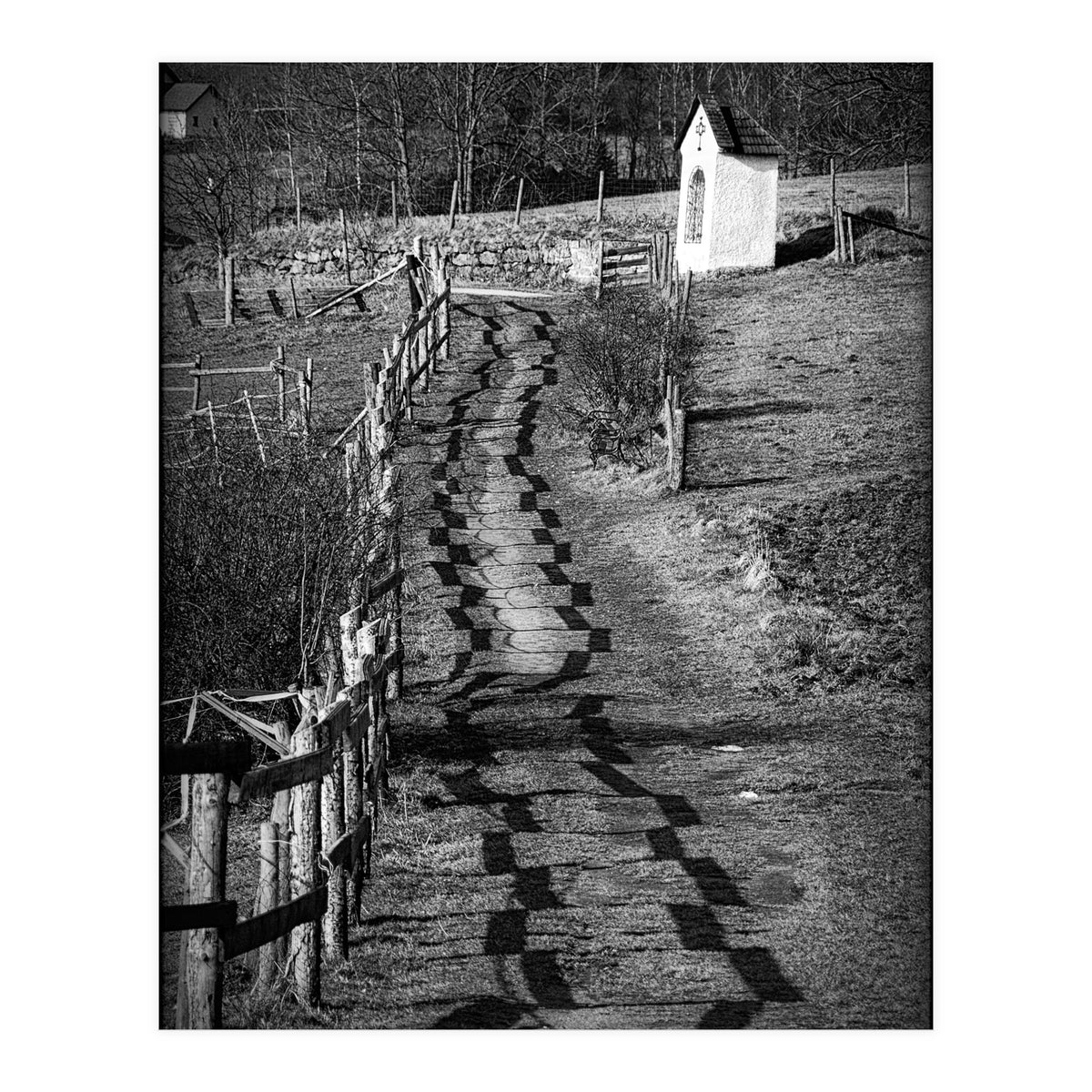 Forestry path (Print Only)