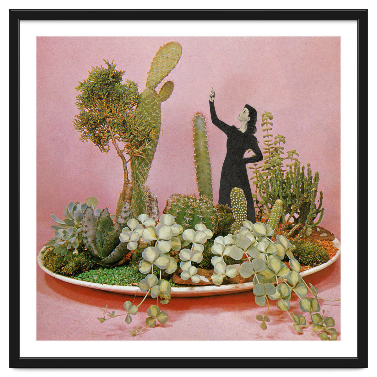 The Wonders Of Cactus Island