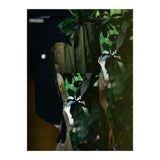 Disappeared Dreams 5 (Print Only) thumbnail