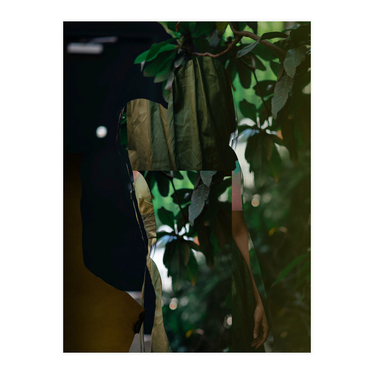 Disappeared Dreams 5 (Print Only)