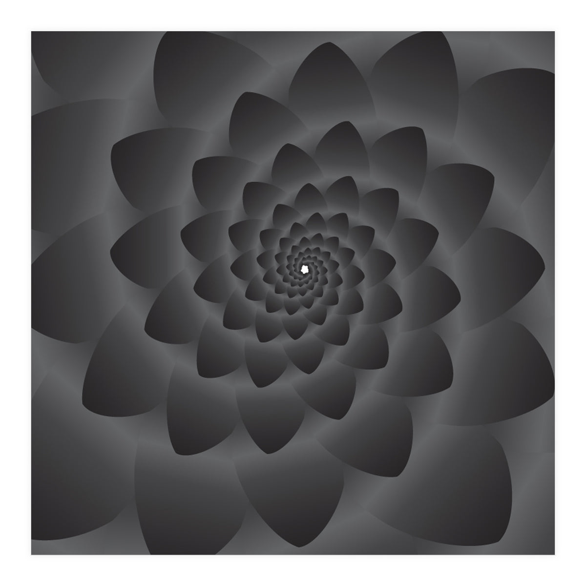 3 D Modern Black Floral (Print Only)