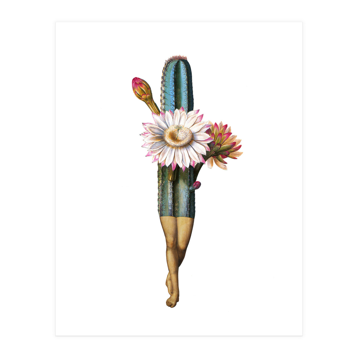 Night Bloomer (Print Only)